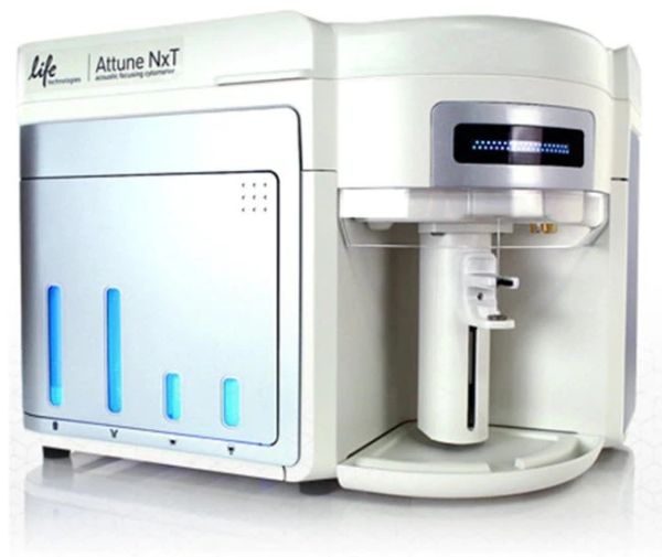 图片 赛默飞Attune NxT™ 流式细胞仪，2激光蓝色/红色